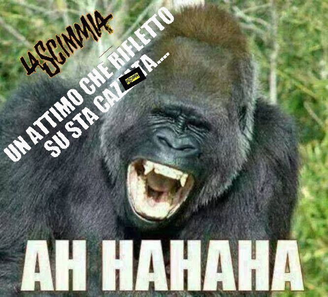Goriuzz.jpg
