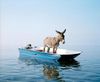 la-grande-delusione-della-piccola-provincia-L-k1uXar.jpeg