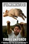 porc.jpg