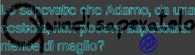 q.jpg