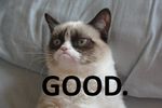 Grumpy_Cat_Good.jpg