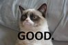 Grumpy_Cat_Good.jpg