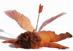CupidoMorto.jpg