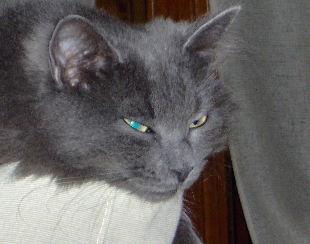 HPIM0169.JPG