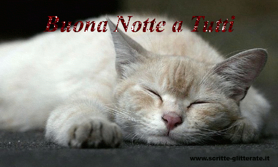Buonanotte-2.gif