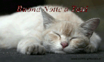 Buonanotte-2.gif