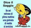 92481f88f892489d7860830c85dc28e6.jpg