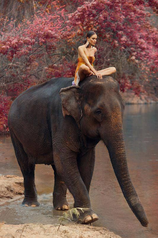 elefante&donna.jpg