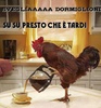 sveglia.jpg