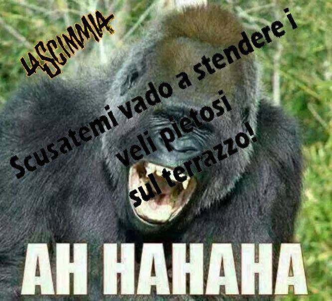 13270m.jpg