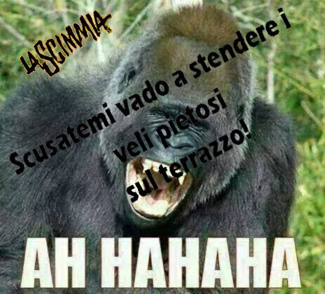 13270m.jpg
