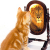 L1Gy7LfOcN2ZrnWk5IB-EZMoCn6ndSlMjTSxCqpv4xG0JL82Ot_RJgz7SFvgeerju3d0pjBuCO65QFU-hsS2QDULi5_9bwzwmg=w512-h512-nc.jpeg
