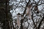 DSC_0035.JPG