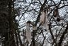 DSC_0035.JPG