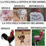la_vita.jpg