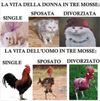 la_vita.jpg