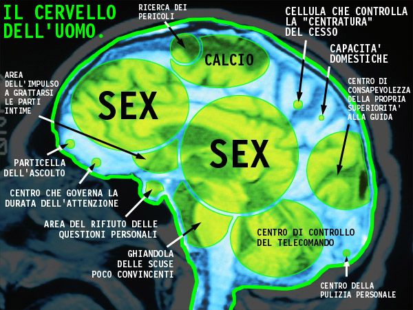 cervello-uomo.jpg