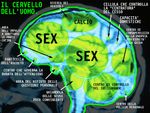 cervello-uomo.jpg