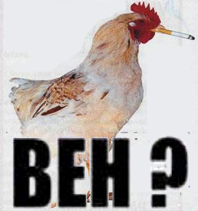 Galpe.jpg