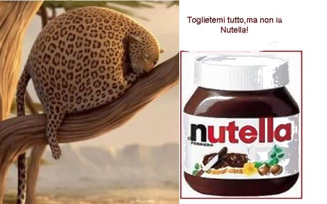 nuttr.jpg