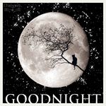FB_link_goodnight_luna.jpg