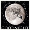FB_link_goodnight_luna.jpg