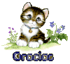 M26WhMKzkK4cbID2kibZ3rmCVBJmlq6e2-tqG5WXrf3uNgGcrPXTlmClweNYEjXQlPeYFY0BafyEc9MnCiLomWCPDutv24UtPgDbsT8lnjMhneSN08haxoWRdqiY64iKRXySWVQuHfgKZ8PuqaL781MRsaaf7SKdAemvc7Jd=w380-h350-nc.gif