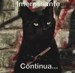 inmty.jpg