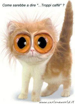 vRIE5NA0SdnXflGGujyXSE1GjZNDLDL9ZK6pVrgN_vFHEgJEcEiSCtRl4r7_pYK-hbvVgi7uMFxhVx-lIGkmN0ZdXIiYm29xogX0MFkYLYnQxxeF_yo=w300-h417-nc.jpeg