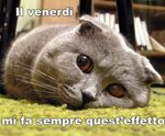 venerdi.jpg