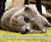 venerdi.jpg