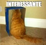 imnter.jpg