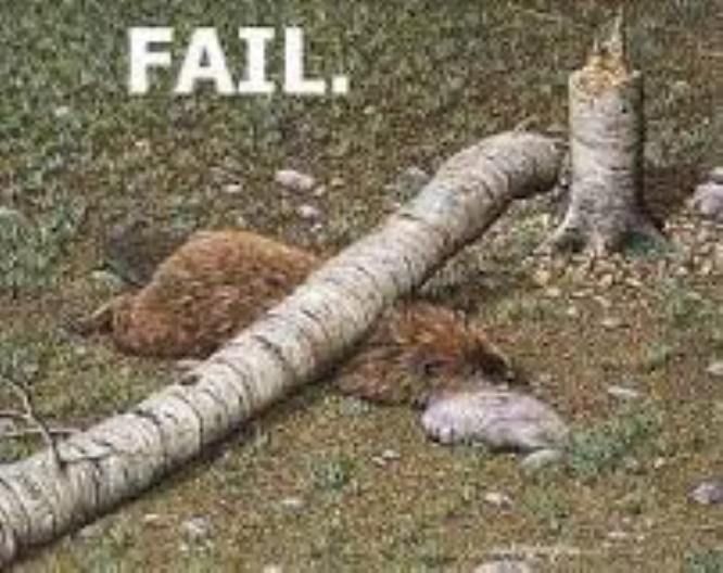 faill.jpg