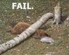 faill.jpg