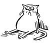 gatto-disperato.jpg