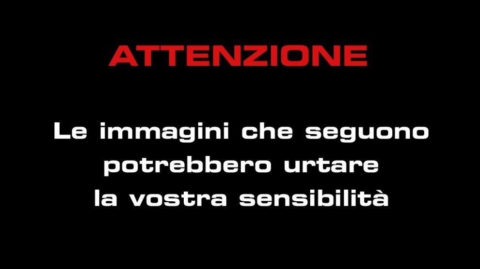 ob_d3e8c3_urtare.jpg