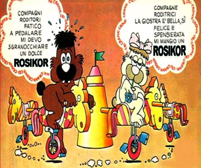 golo-ciocori.jpg