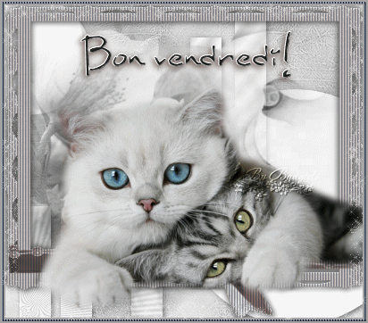 bonvendredi69.gif