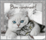 bonvendredi69.gif
