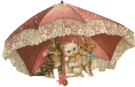 gatto11h.gif
