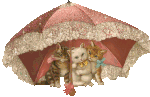 gatto11h.gif