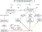 teoria vsepr_rev.cmap.jpg
