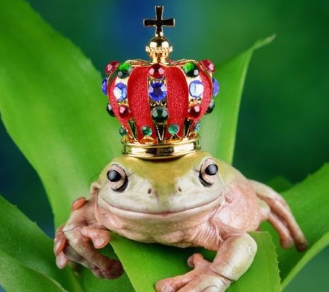 principe-ranocchio.jpg