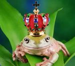 principe-ranocchio.jpg