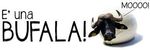 BUFALA.jpg
