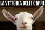 efficenza-energetica-capra.jpg