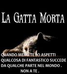 La_gatta_mortacci.jpg