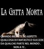 La_gatta_mortacci.jpg