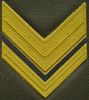 ssg.jpg