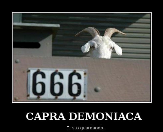 capra-demoniaca.jpg